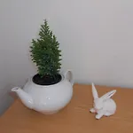 Hotel White Rabbit Hall