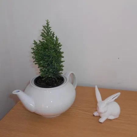 Hotel White Rabbit Hall